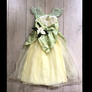 Princess Tiana Deluxe Disney Costume
